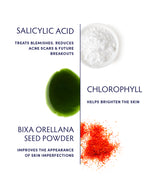 Chlorophyll & Salicylic Acid Spot Treatment ingredients