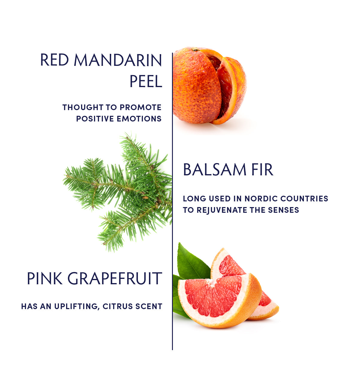 Inspire Aromatic Alchemy ingredients