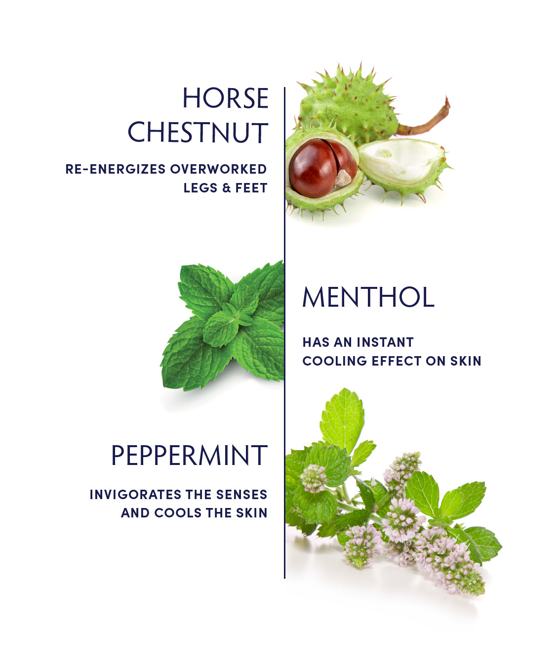 Mighty Mint Rescue Cream ingredients