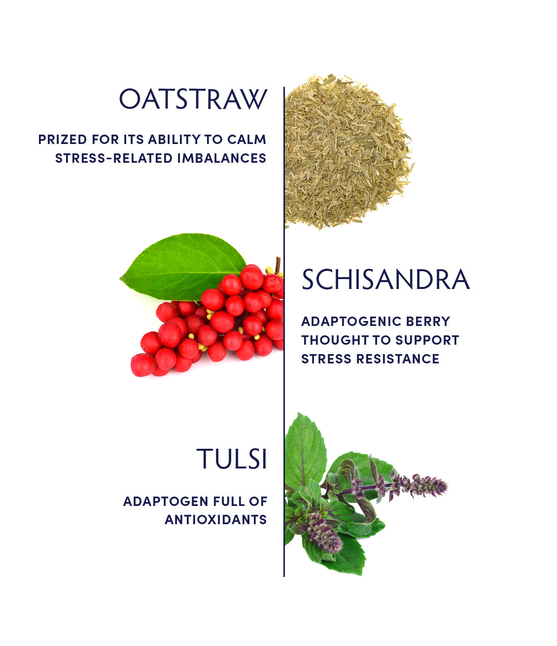 Oat Stress Relief Tincture ingredients