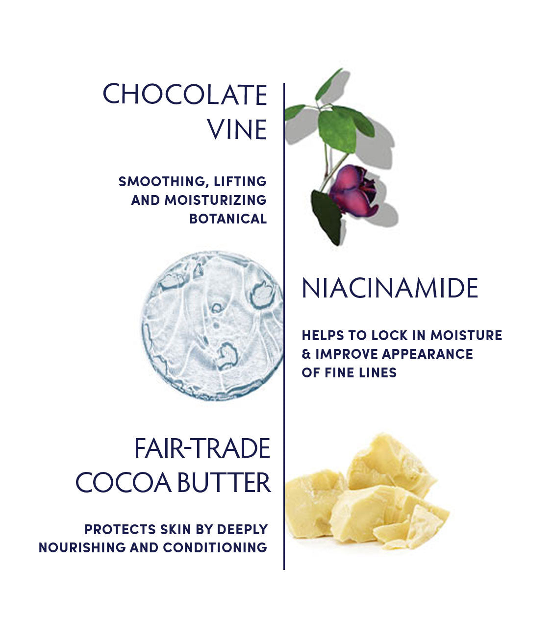Chill Chocolate Vine Stress Mask ingredients