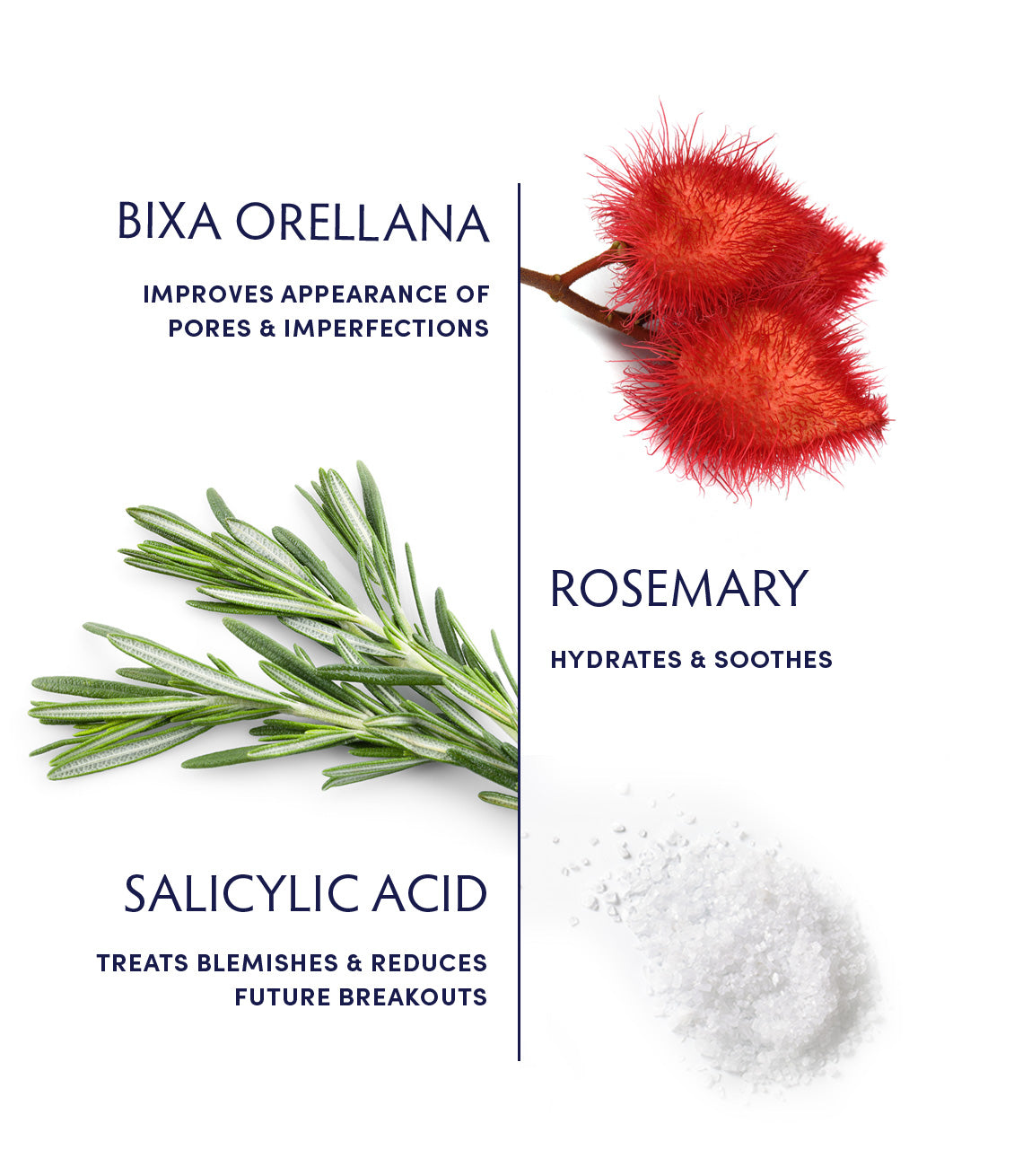 Rosemary & Salicylic Acid Acne Clearing Moisturizer ingredients