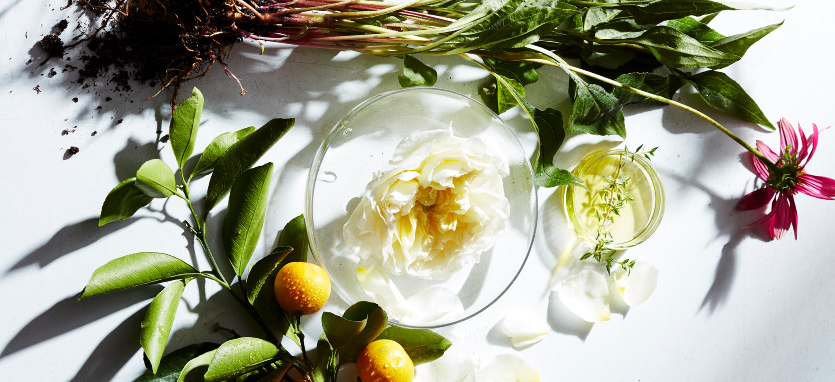 Naturopathica herbal blends