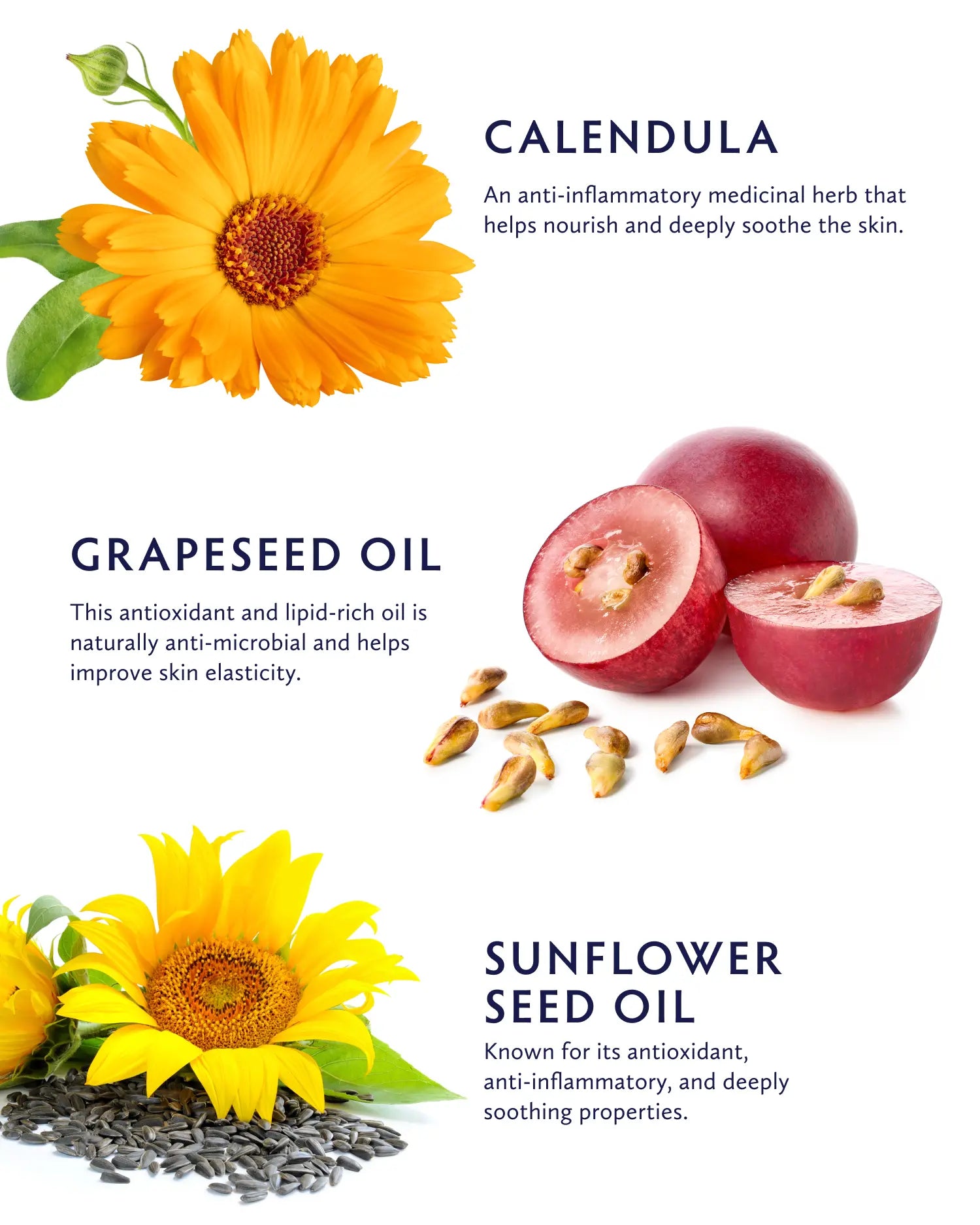 Calendula Essential Cleansing Oil
