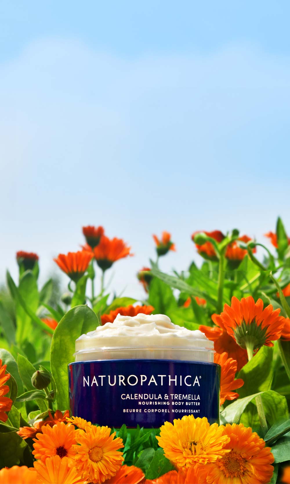 Homepage-Calendula-Mobile.jpg