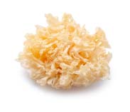 Tremella