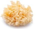Tremella