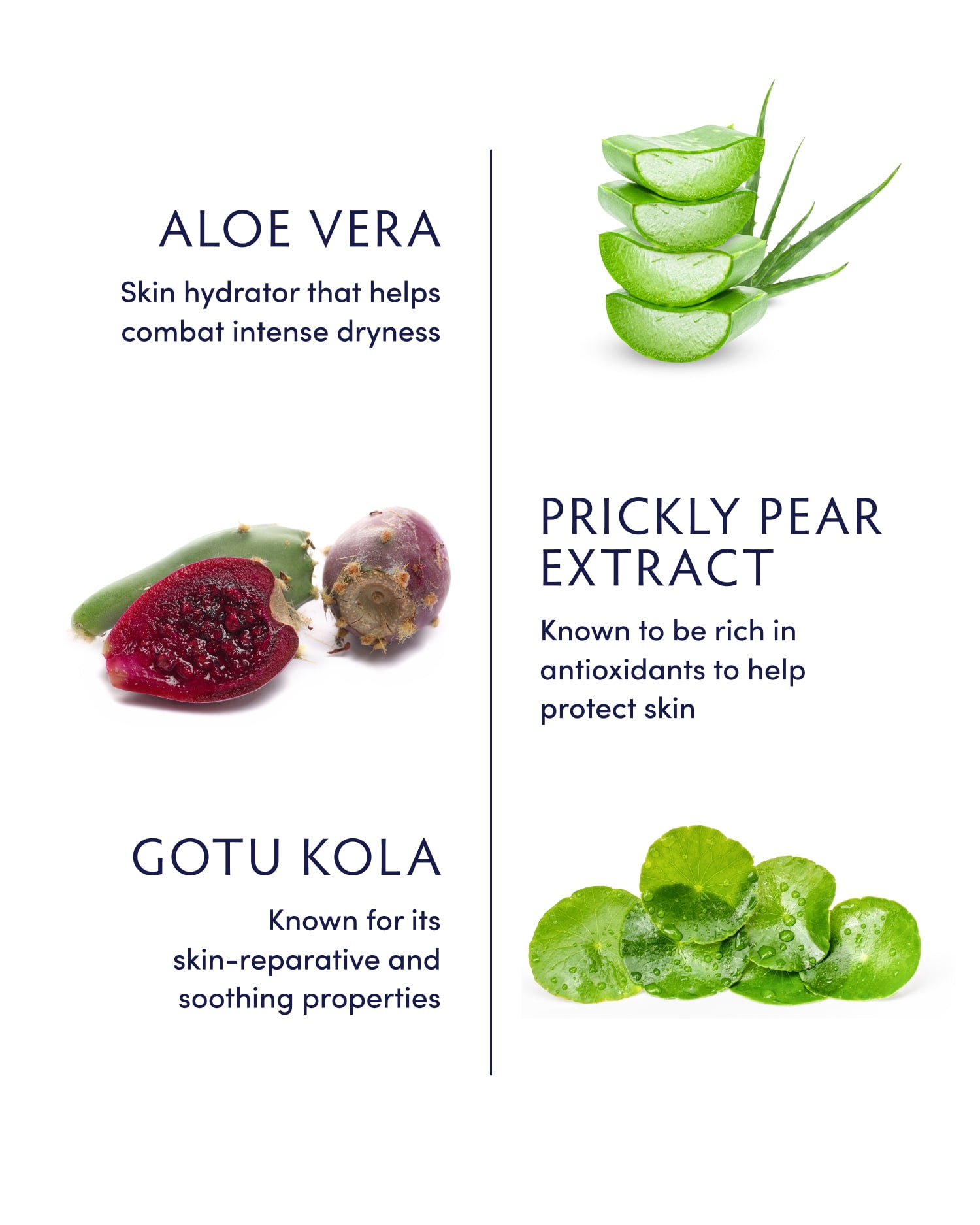 aloe vera plant face mask Aloe Vera Replenishing Gel Mask
