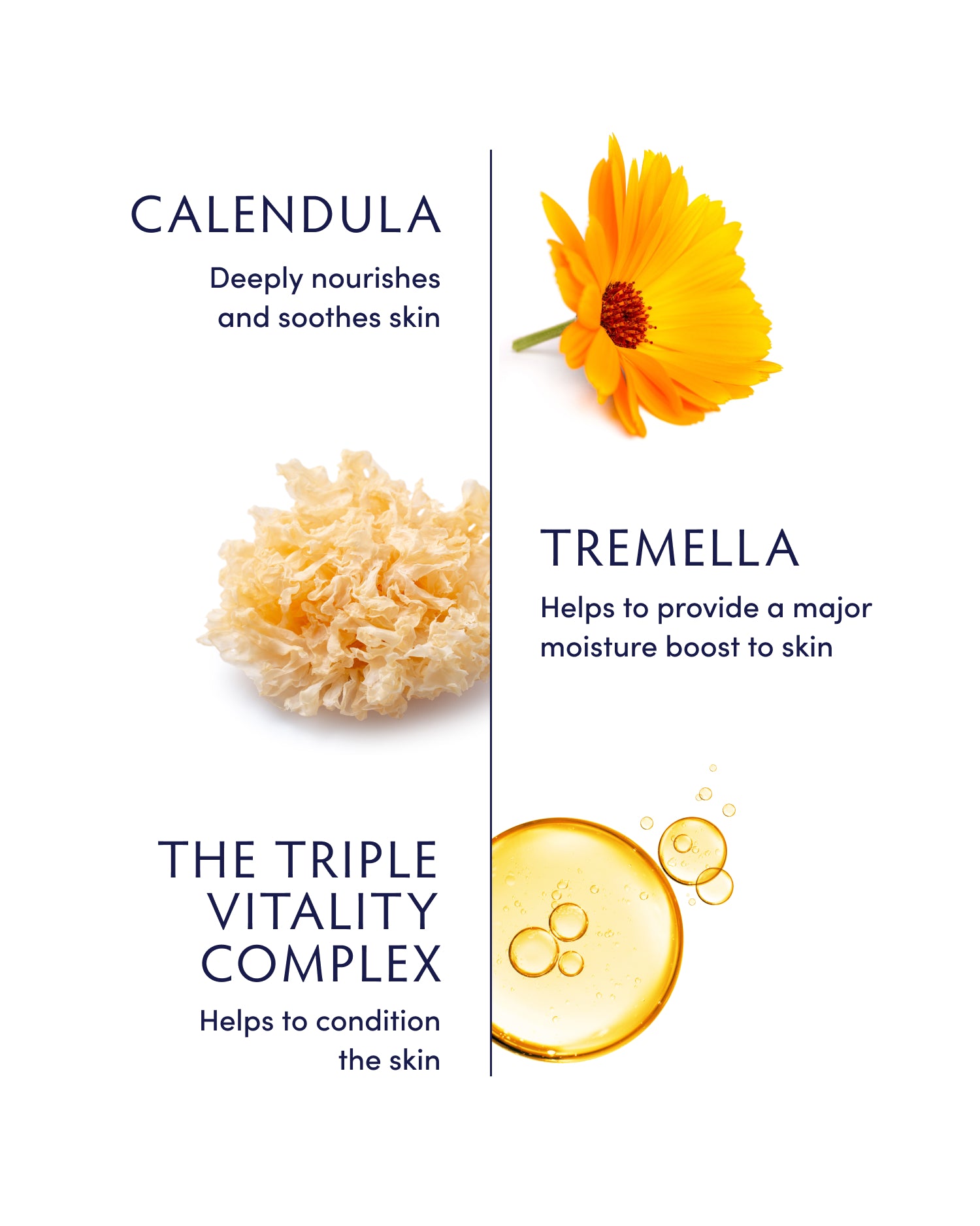 Calendula Essential Comfort Ritual