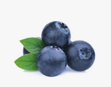 Blueberry Extract