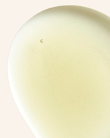 Alpine Arnica Bath & Body Oil