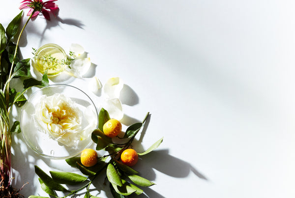 Background of ingredients