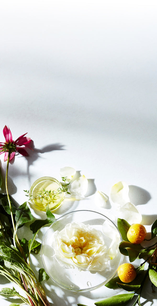 Background of ingredients