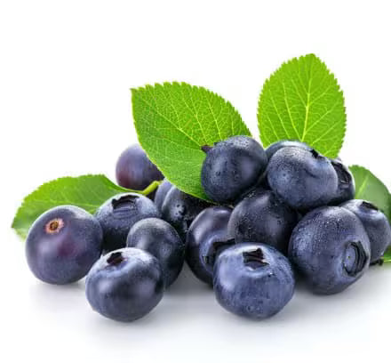 Blueberry Extract