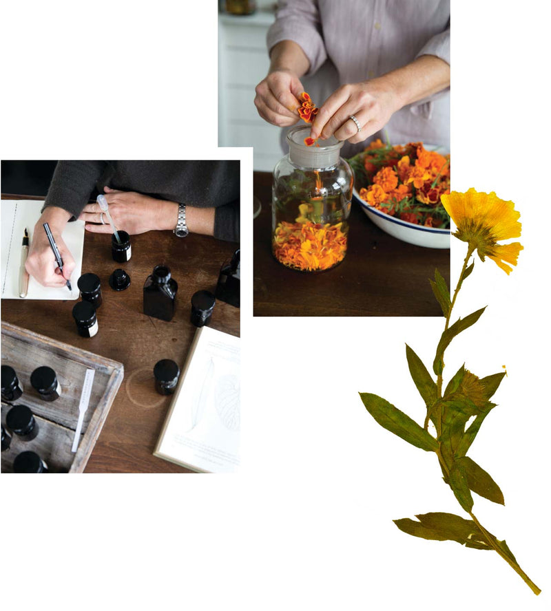 Barbara Close in her ingredient laboratory