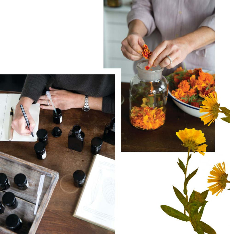 Barbara Close in her ingredient laboratory