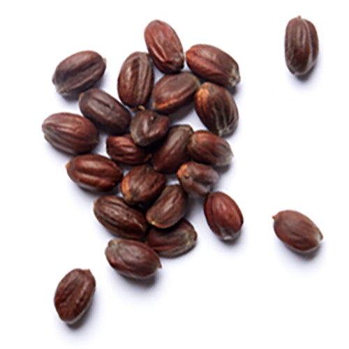 Jojoba Seed Oil