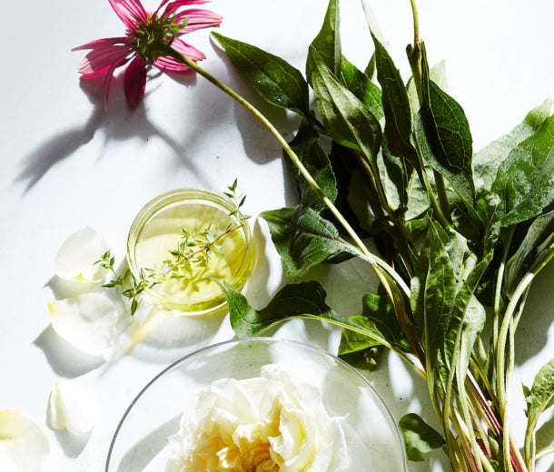 Naturopathica ingredients assembled on a table
