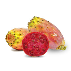 Prickly Pear Extract