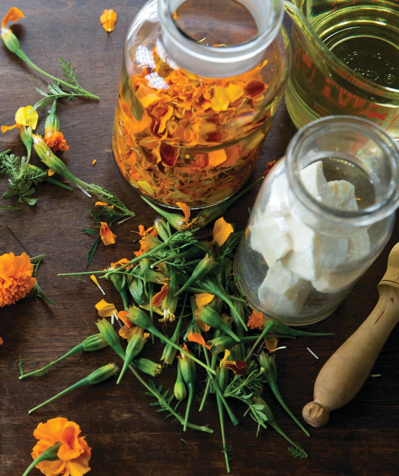 Calendula flowers on a table