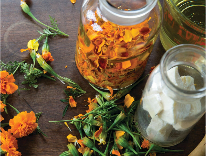 Calendula flowers on a table