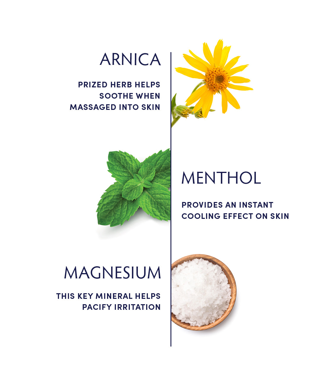 Alpine Arnica & Magnesium Gel Ingredients