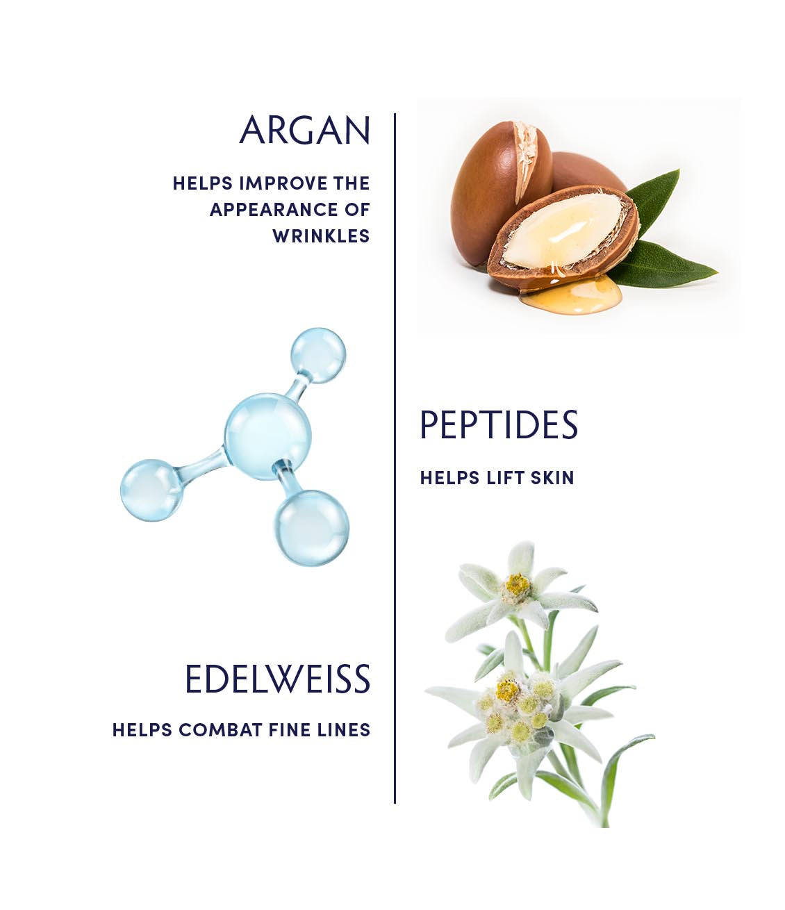 Argan & Peptide Advanced Wrinkle Remedy Water Cream Ingredients