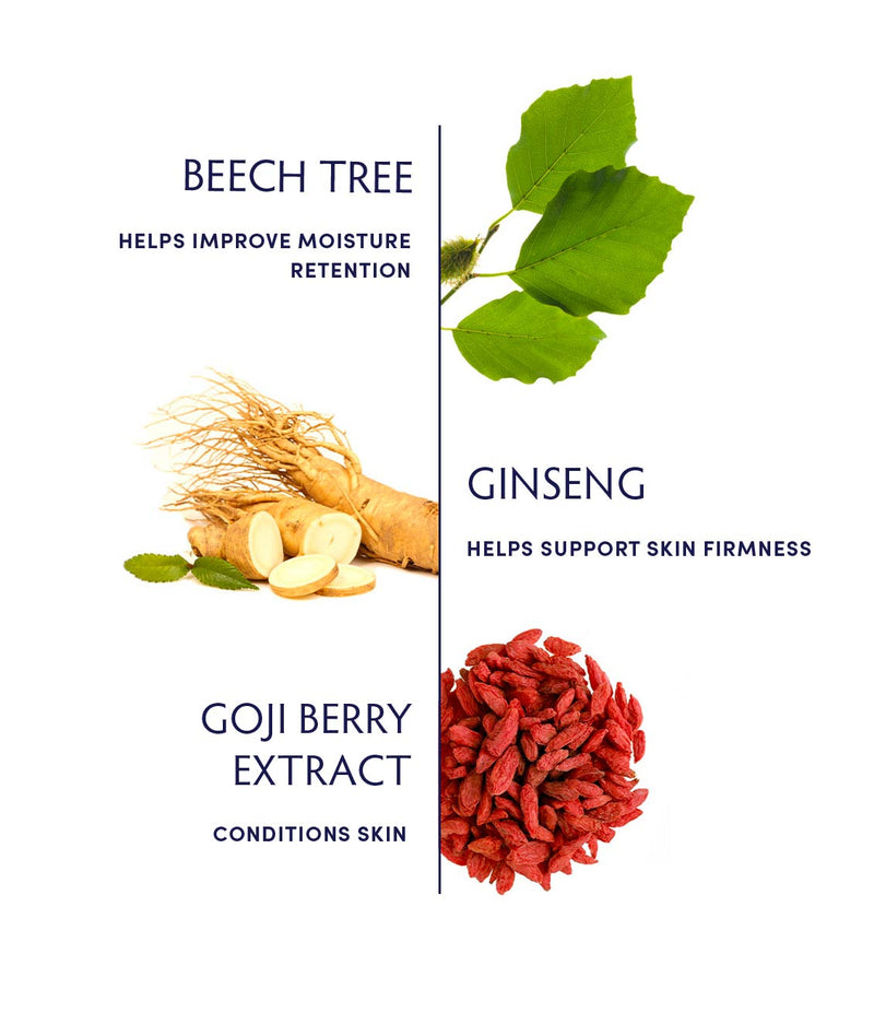 Beech Tree & Ginseng Replenishing Moisturizer Ingredients