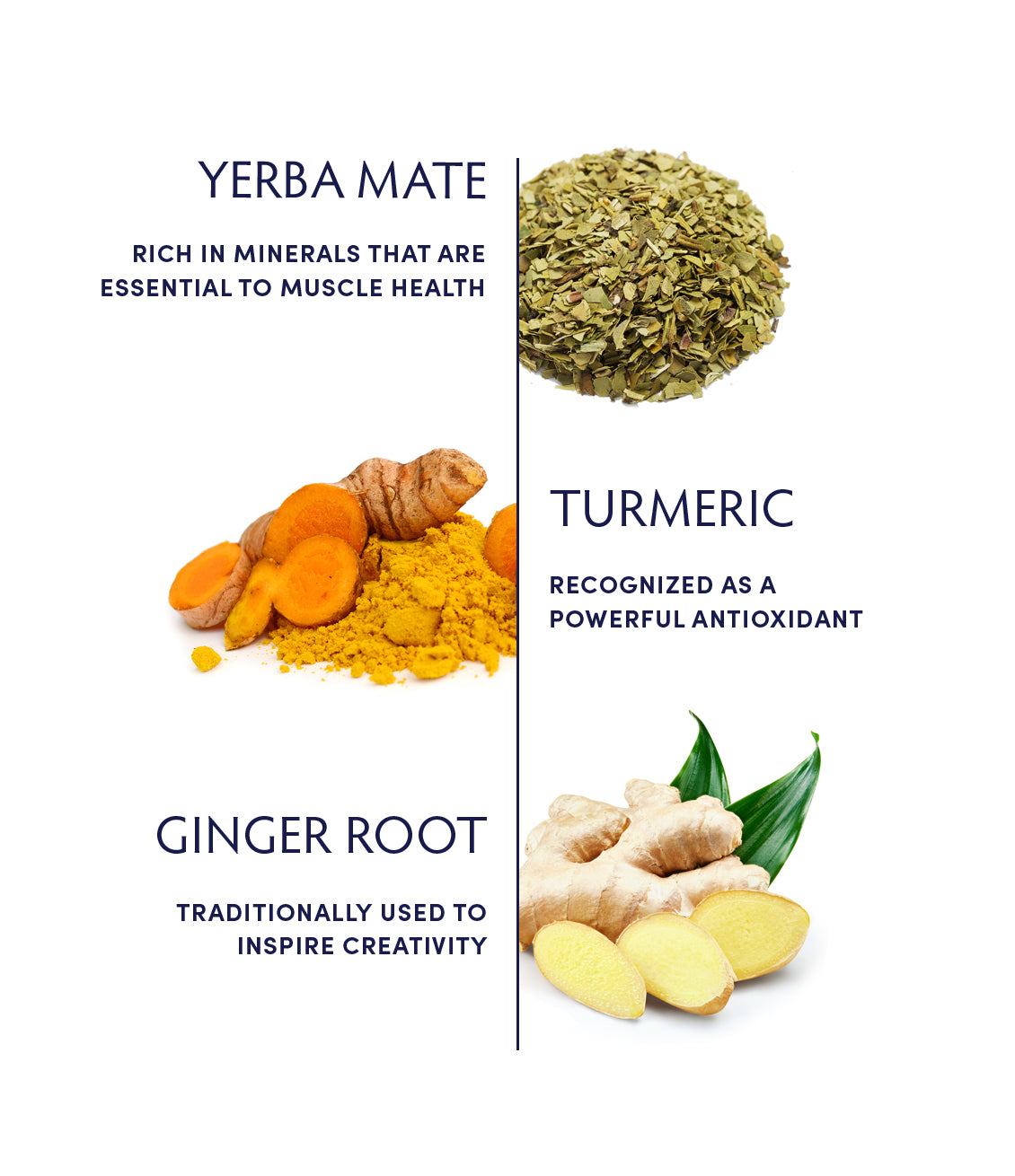Ginger & Turmeric Muscle & Joint Tea ingredients