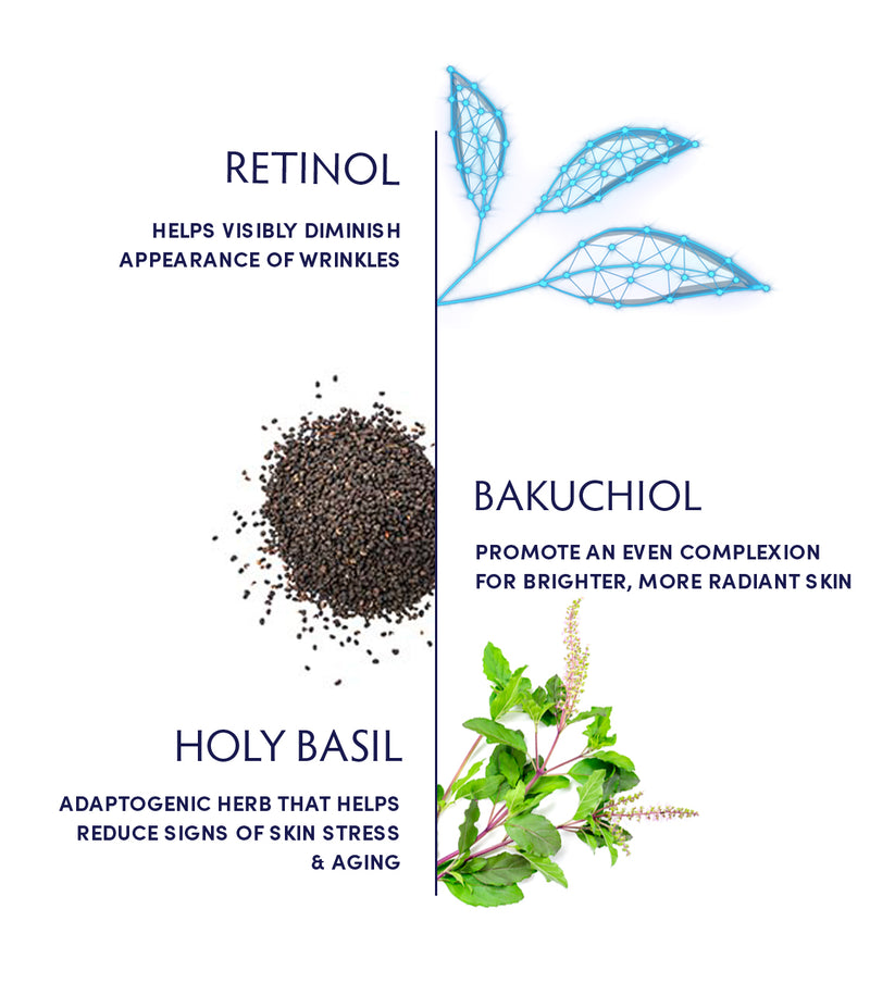 Holy Basil & Retinol Ageless Night Oil ingredients