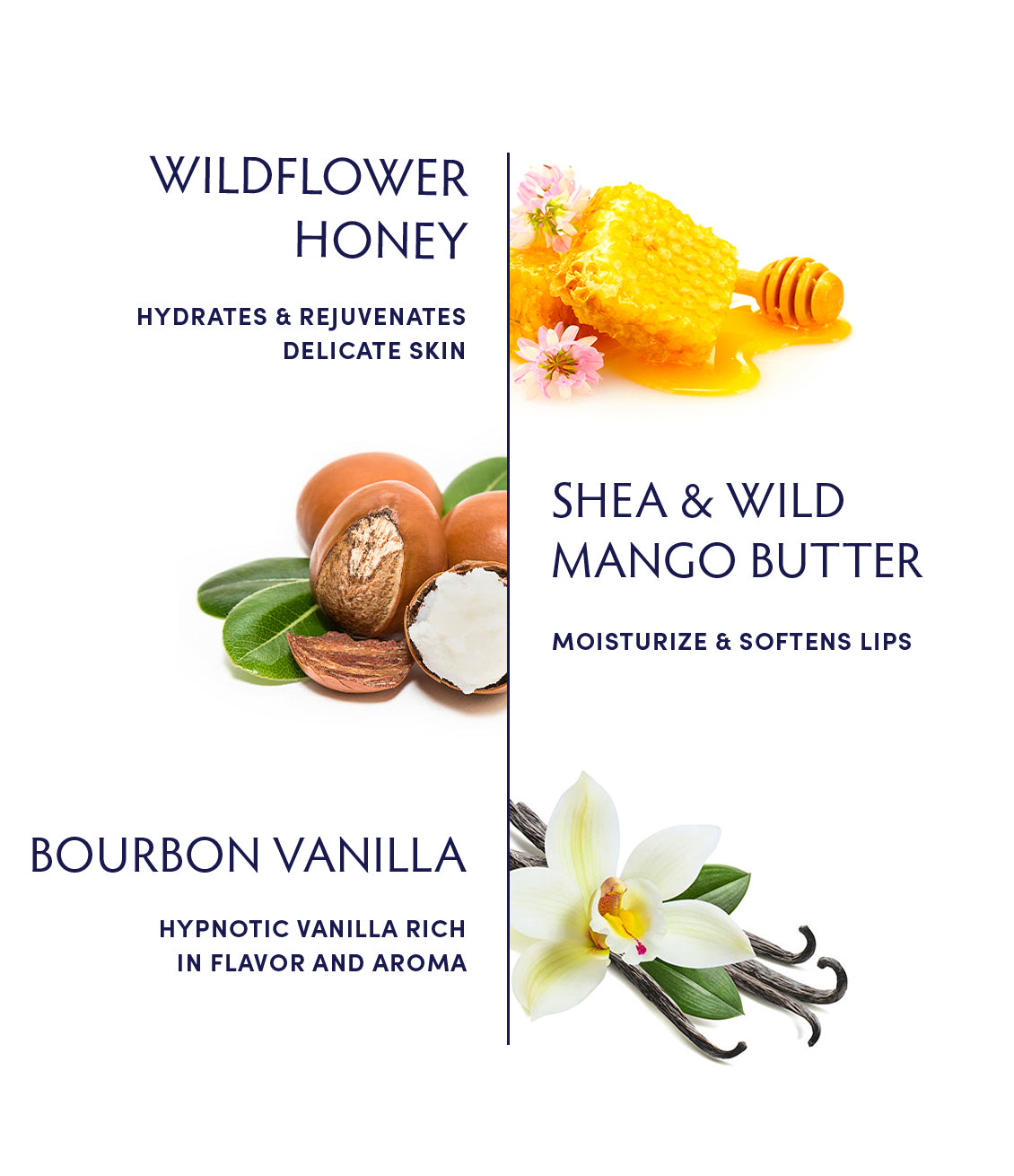 Soothing Honey Vanilla Lip Balm ingredients