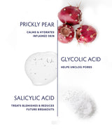 Prickly Pear & Salicylic Acid Acne Clearing Tonic ingredients