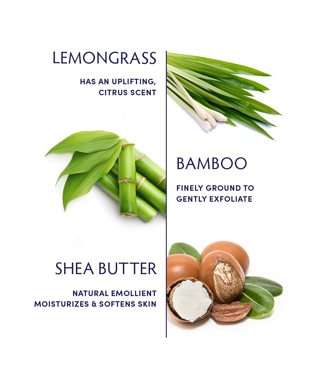 Lemongrass Mimosa Body Scrub ingredients