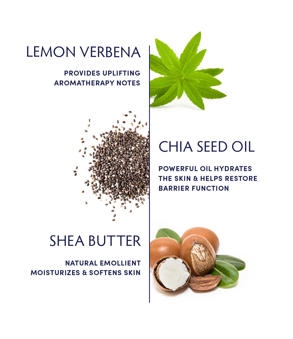 Lemon Verbena Omega-3 Hand Cream ingredients