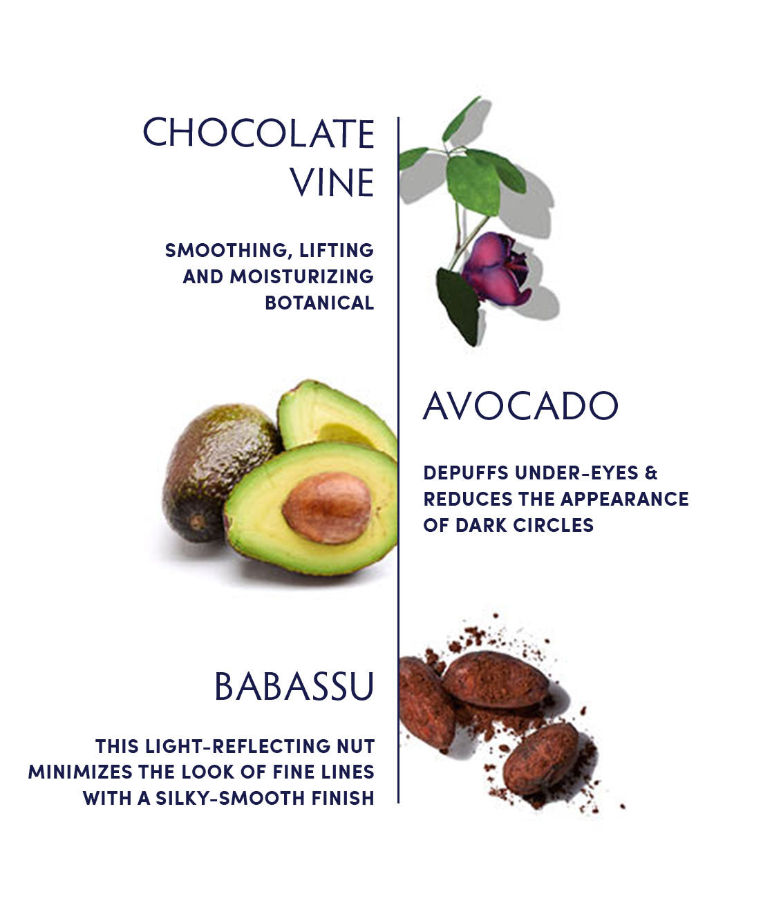 Chill Chocolate Vine Restorative Eye Balm ingredients
