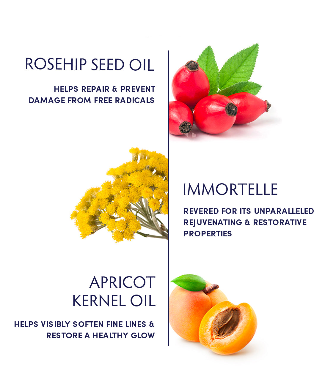 rose hip seed oil Rosehip Seed & Immortelle Facial Oil