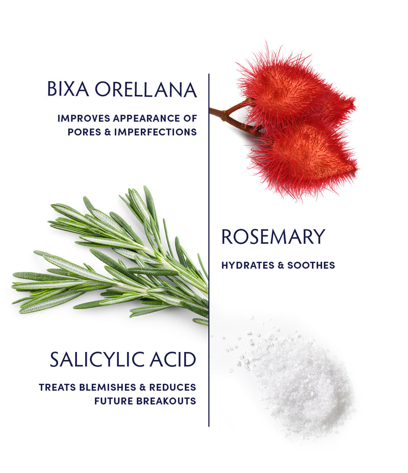 Rosemary & Salicylic Acid Acne Clearing Moisturizer ingredients