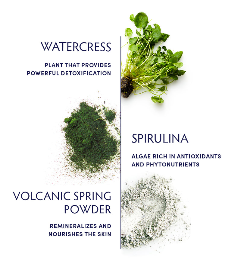 Watercress & Spirulina Detox Mask ingredients